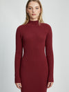 Bardot Tilda Turtleneck Knit Dress Burgundy