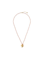 A Beautiful Story Prayer Carnelian Gold Necklace