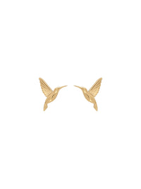 Edblad HUMMINGBIRD studs gold