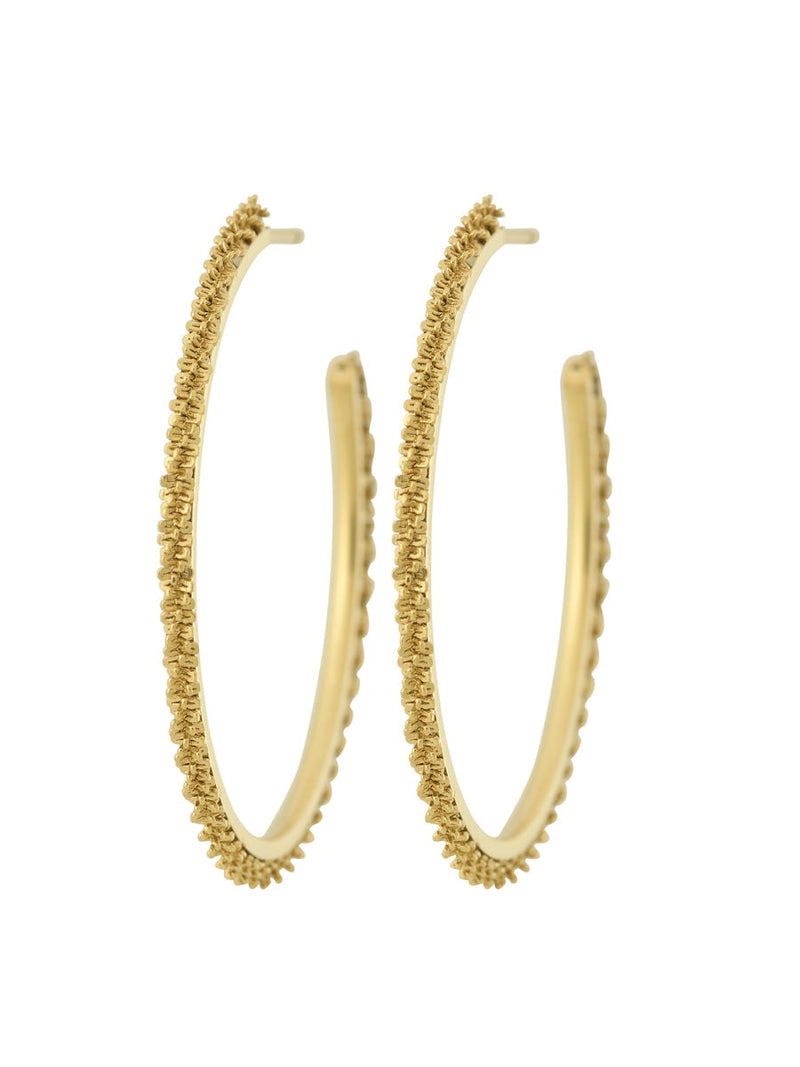 Edblad Tinsel Thin Creoles M Gold