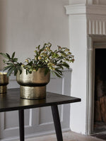Nordal Alimia Plant Pot Gold